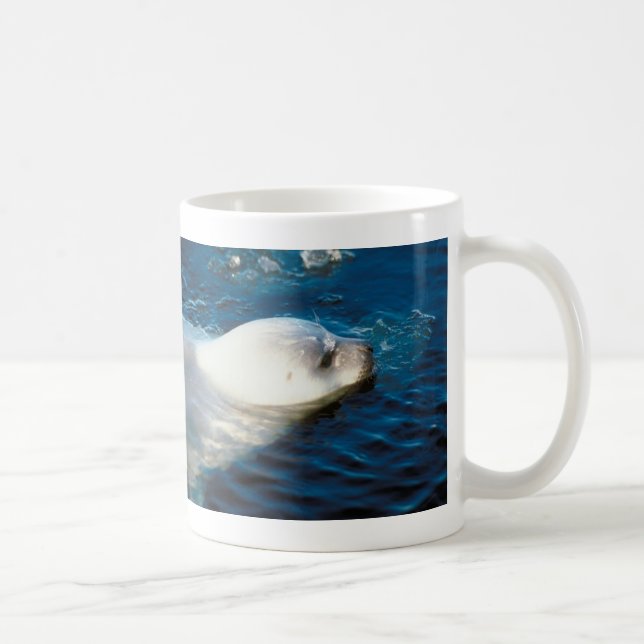 Mug Natation de phoque (Droite)