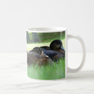 Mug Nature Journey Canard Musique
