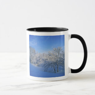 Mug Neige record à Louisville, Kentucky.