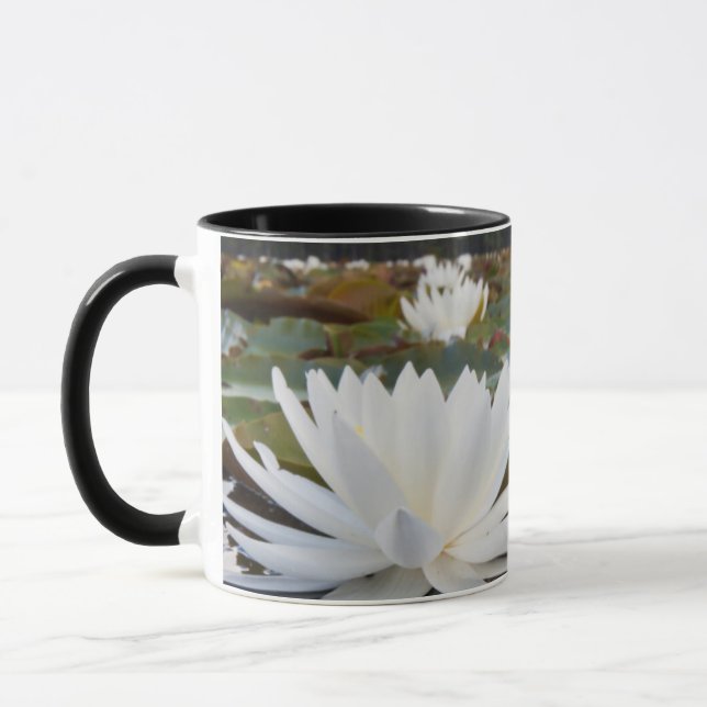 Mug Nénuphar odorant (Nymphaea Odorata) sur Caddo (Gauche)