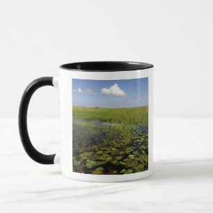 Mug Nénuphars et scirpe à feuilles de jonc dans les Ev