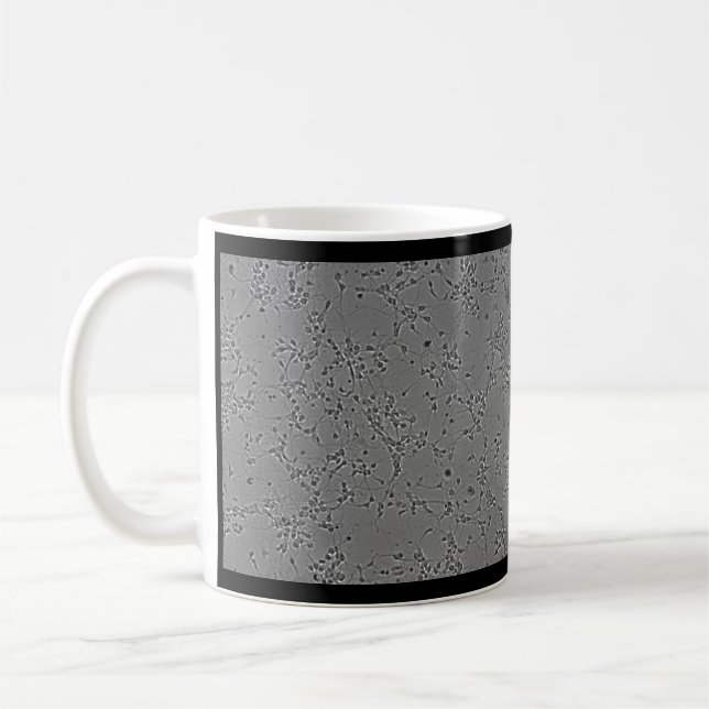 mug neurons  (Gauche)