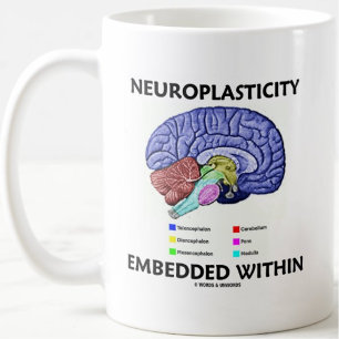 Mug Neuroplasticité intégrée dans l'anatomie cérébrale