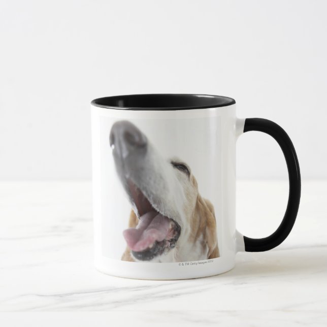 Mug Nez de s de chien ', plan rapproché (Droite)