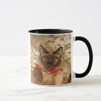 Mug Noël Tonkinese 2 de FPG -