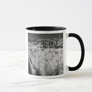 Mug Noir & Blanc de vignobles, Montepulciano, Italie