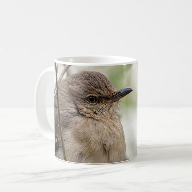 Mug Northern Mockingbird Portrait Bird Photo (Devant gauche)