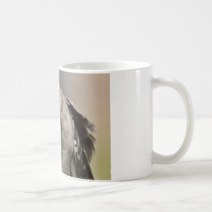 Mug Northern Mockingbird prend un Bow Appareils & cade