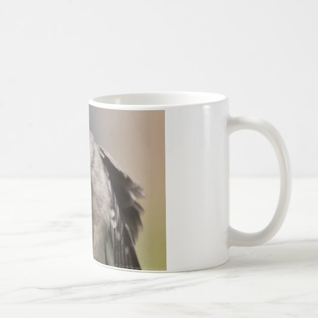 Mug Northern Mockingbird prend un Bow Appareils & cade (Droite)