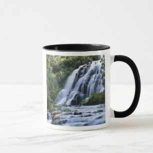 Mug Nouvelle-Zélande, île du Nord, Karangahake Gorge,