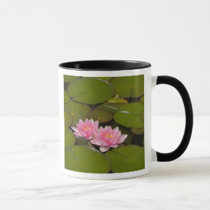 Mug Nymphéas en fleurs