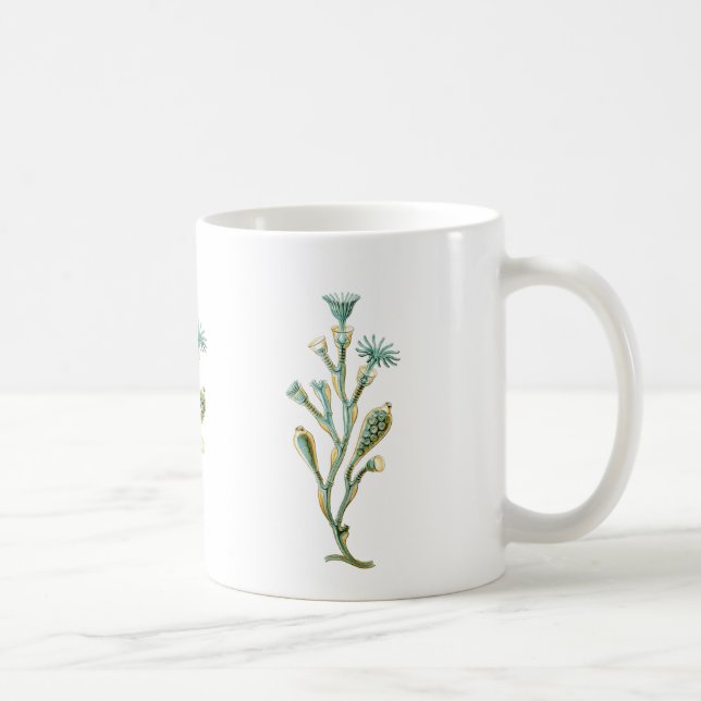 Mug Obelia (méduses) (Droite)