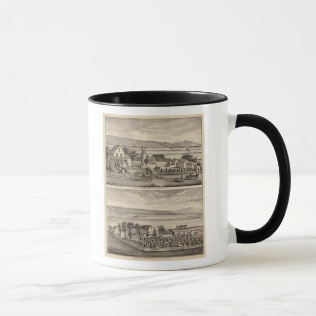 Mug Obermuller, les résidences de Wille (Droite)