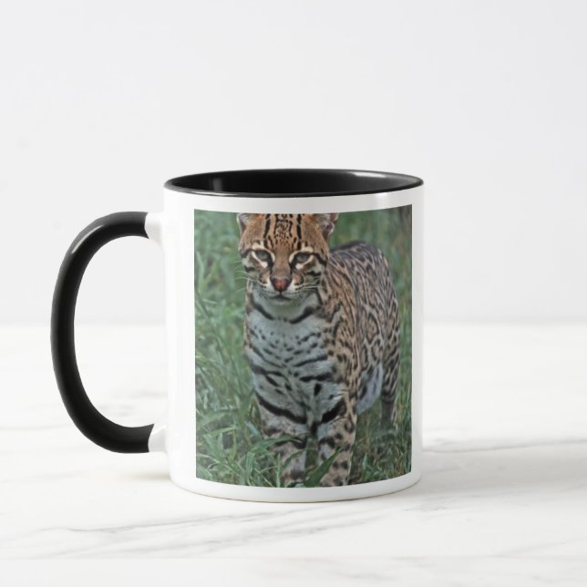 Mug OCELOT (Leopardus pardalis) AMÉRIQUE CENTRALE (Gauche)