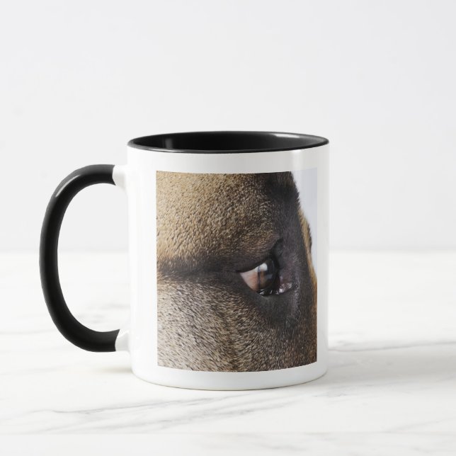 Mug Oeil de great dane (Gauche)