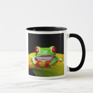 Mug Oeil rouge Treefrog, Agalychinis callidryas, autoc