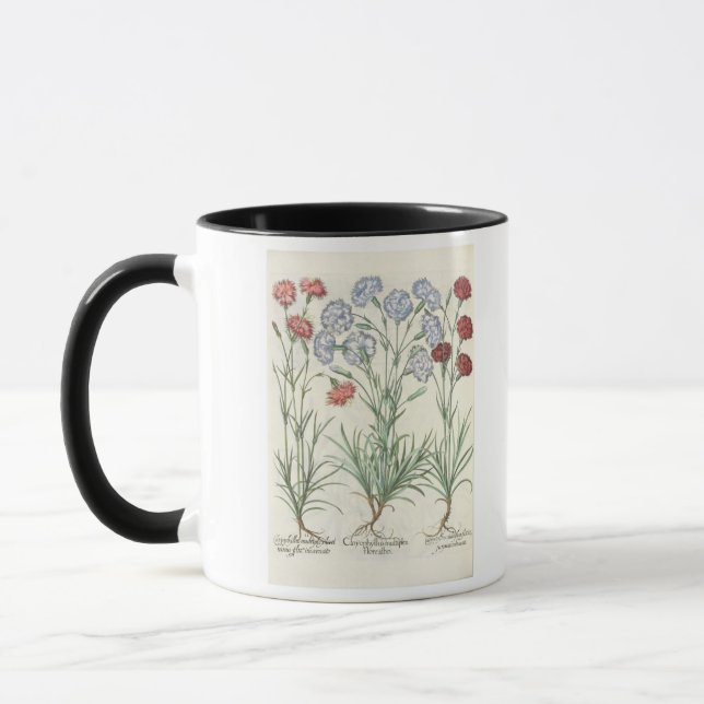 Mug Oeillets : albo multiplex du flore 1.Caryophyllus (Gauche)