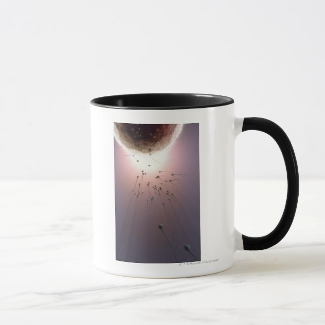 Mug Oeuf fertilisé par le sperme (Droite)