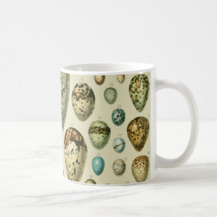 Mug Œufs d'oiseaux vintage Art d'œuf de poisson frança