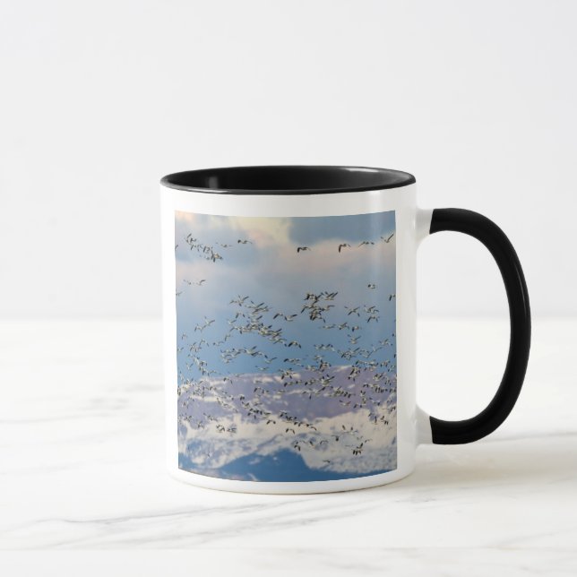 Mug Oies des neiges pendant la migration printanière (Droite)