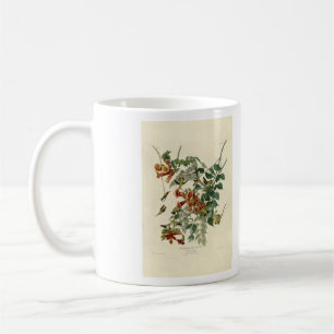 Mug Oiseau à gorge rubis, Audubon Oiseaux Amérique