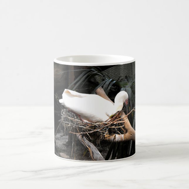 Mug Oiseau de spatule sur le nid en Espagne (Centre)