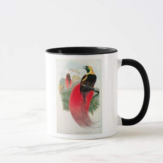 Mug Oiseau du paradis, gravé par T. Walter (Droite)