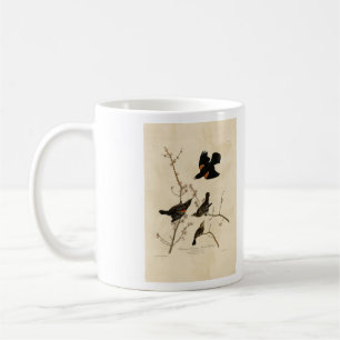 Mug Oiseau noir à ailes rouges - Oiseaux d'Amérique d'