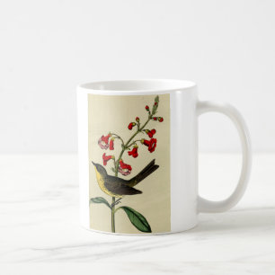 Mug Oiseau vintage de fauvette de Kirtlands