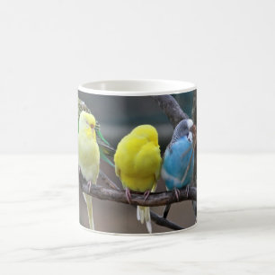 Mug Oiseaux colorés lumineux de perroquets de