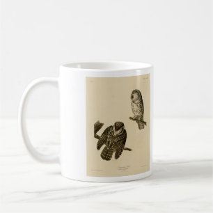 Mug Oiseaux d'Amérique du Chouette boréale de Tengmalm