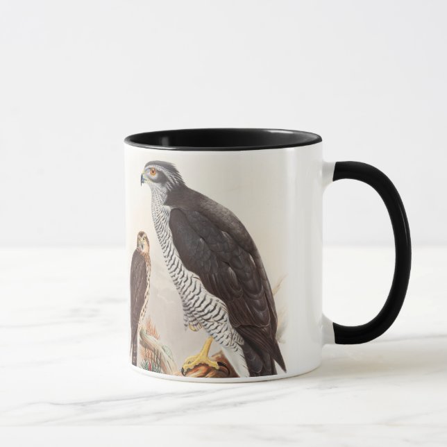 Mug Oiseaux de John Gould d'autour de faune de la (Droite)