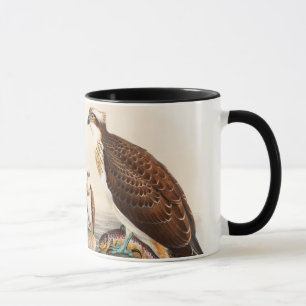 Mug Oiseaux de John Gould de faucon de mer de