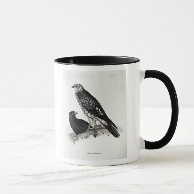 Mug Oiseaux de proie (Droite)