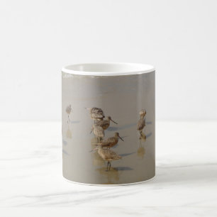 Mug Oiseaux de rivage de la Californie