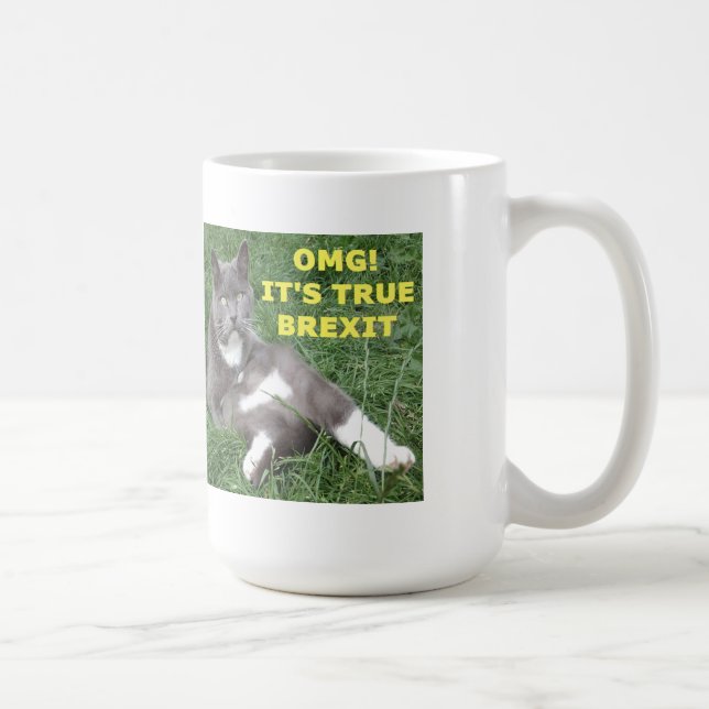 Mug OMG, son vrai Brexit (Droite)