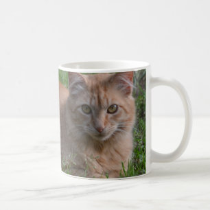 Mug Orange de chat tigré