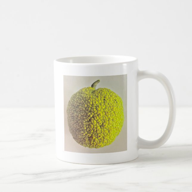 Mug Orange d'Osage (Droite)