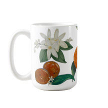 Orange, vous êtes content