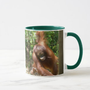 Mug Orangutan sauve les grands singes