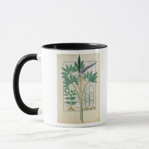 Mug Orchidée