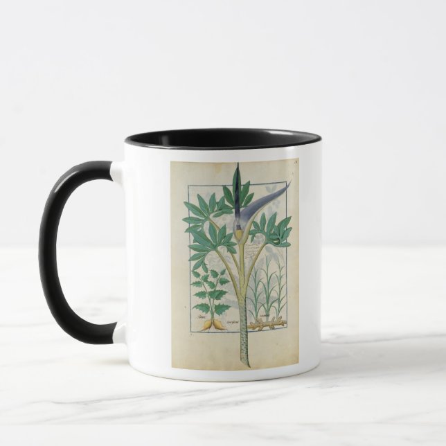 Mug Orchidée (Gauche)