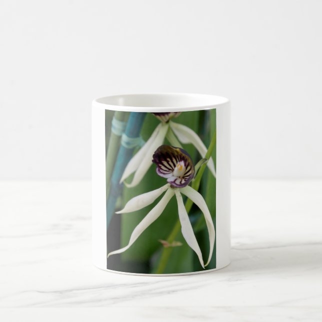 Mug Orchidée (Centre)