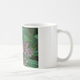 Mug Orchidée blanche rayée violette rose comme lys de 