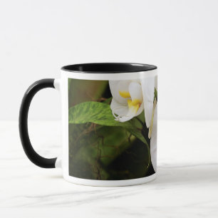 Mug Orchidée Lune Blanche (Phalaenopsis Aphrodite)