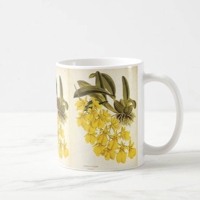 Mug Orchidée Oncidium jaune vintage, fleurs tropicales (Droite)