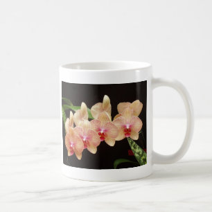 Mug Orchidées !