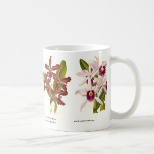 Mug Orchidées