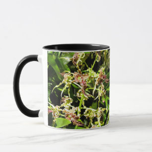 Mug Orchidées