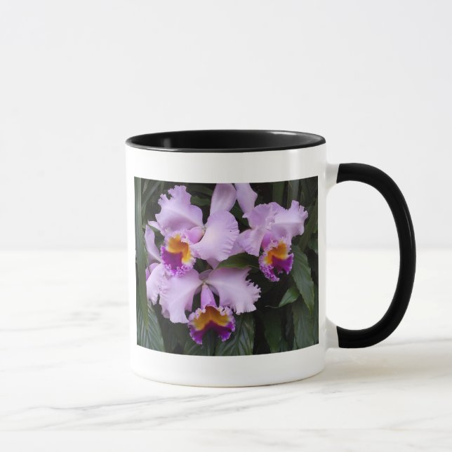 Mug Orchidées 46 (Droite)